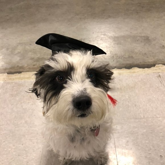 Meet your Posher, Savannagh - Picture 5 of 5